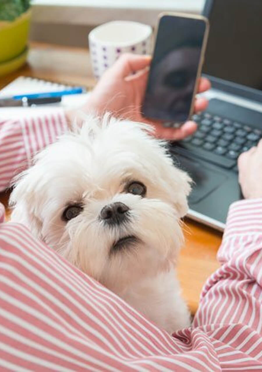 Kho thuốc & vật tư