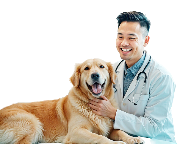 Tại sao phòng khám thú y
                                nên sử dụng PET CLINIC?
